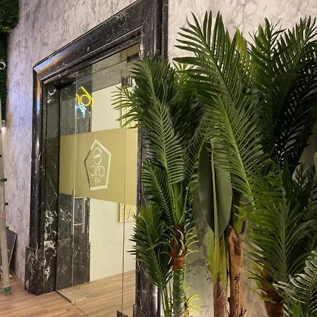 住宿加早餐酒店 Wild Bed & Bistro 3*