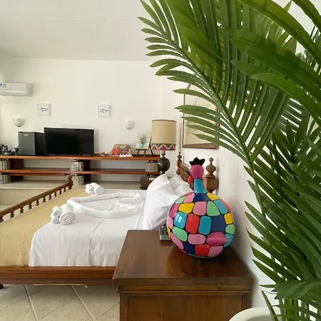 Bed & Breakfast Wild Bed & Bistro Nettuno